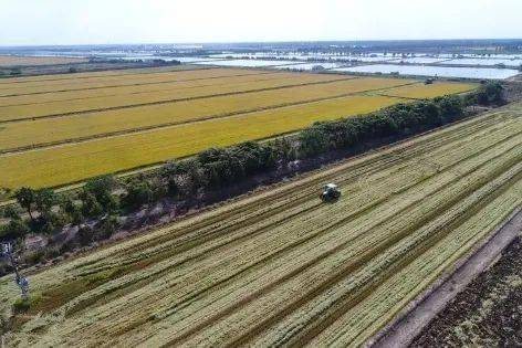 追随百年梦想,构建实力光明 光明食品集团举行花博会百花馆结构封顶仪式暨光明员工骑行活动